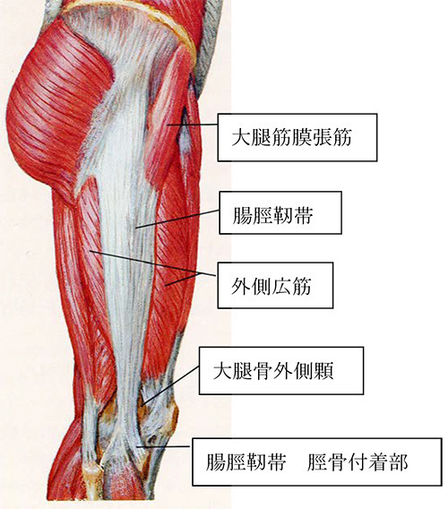 腸 脛 靱帯 炎